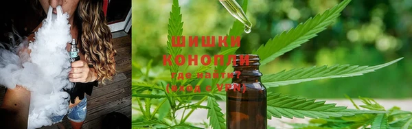 шишки Верея