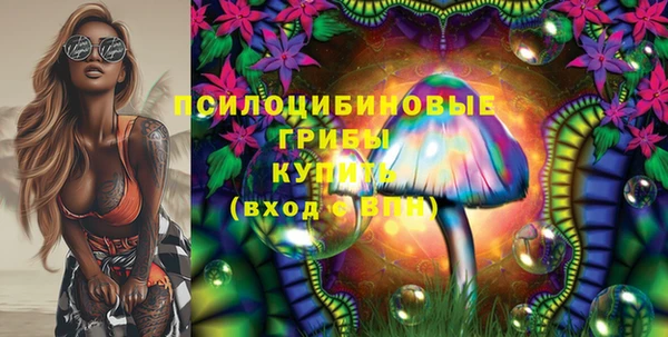 шишки Верея