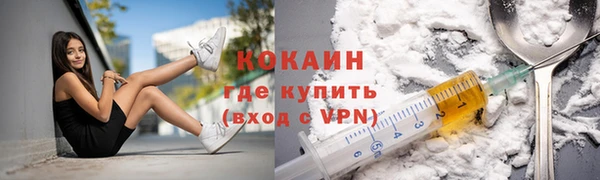 шишки Верея