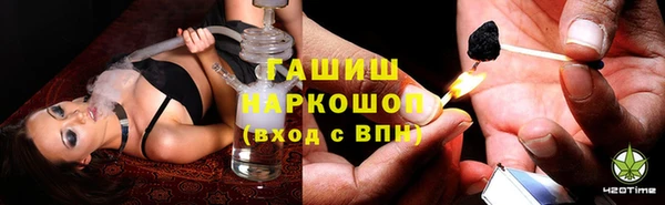 шишки Верея