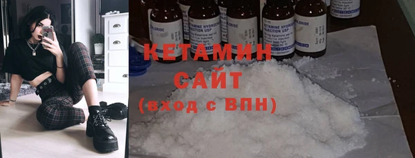 шишки Верея