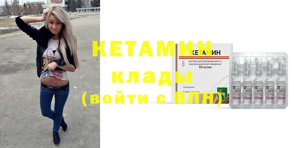 шишки Верея