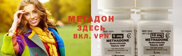 шишки Верея
