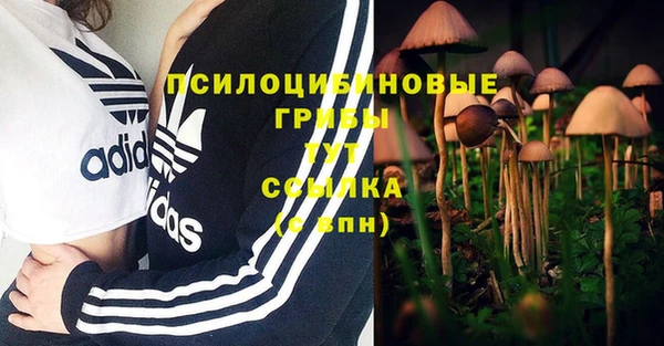 гашишное масло Верхний Тагил