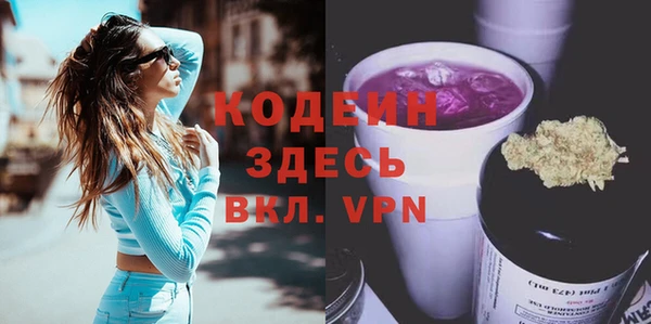 шишки Верея