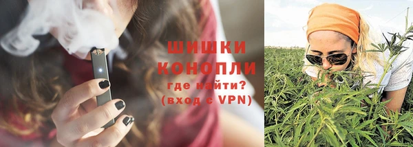 шишки Верея